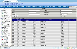 變壓器工廠ERP系統全攻略 價格、廠家、圖片與軟件開發詳解