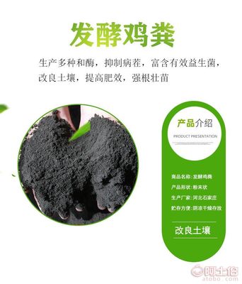 綠色革命 生物有機肥助力大棚蔬菜與果樹健康生長